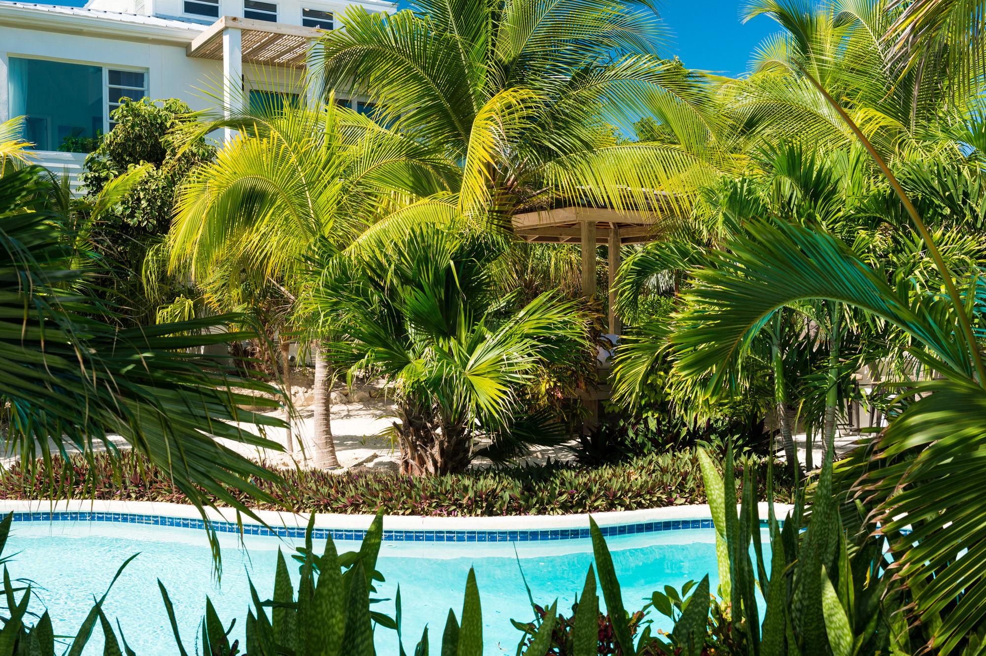 The Oasis At Grace Bay Exterior foto
